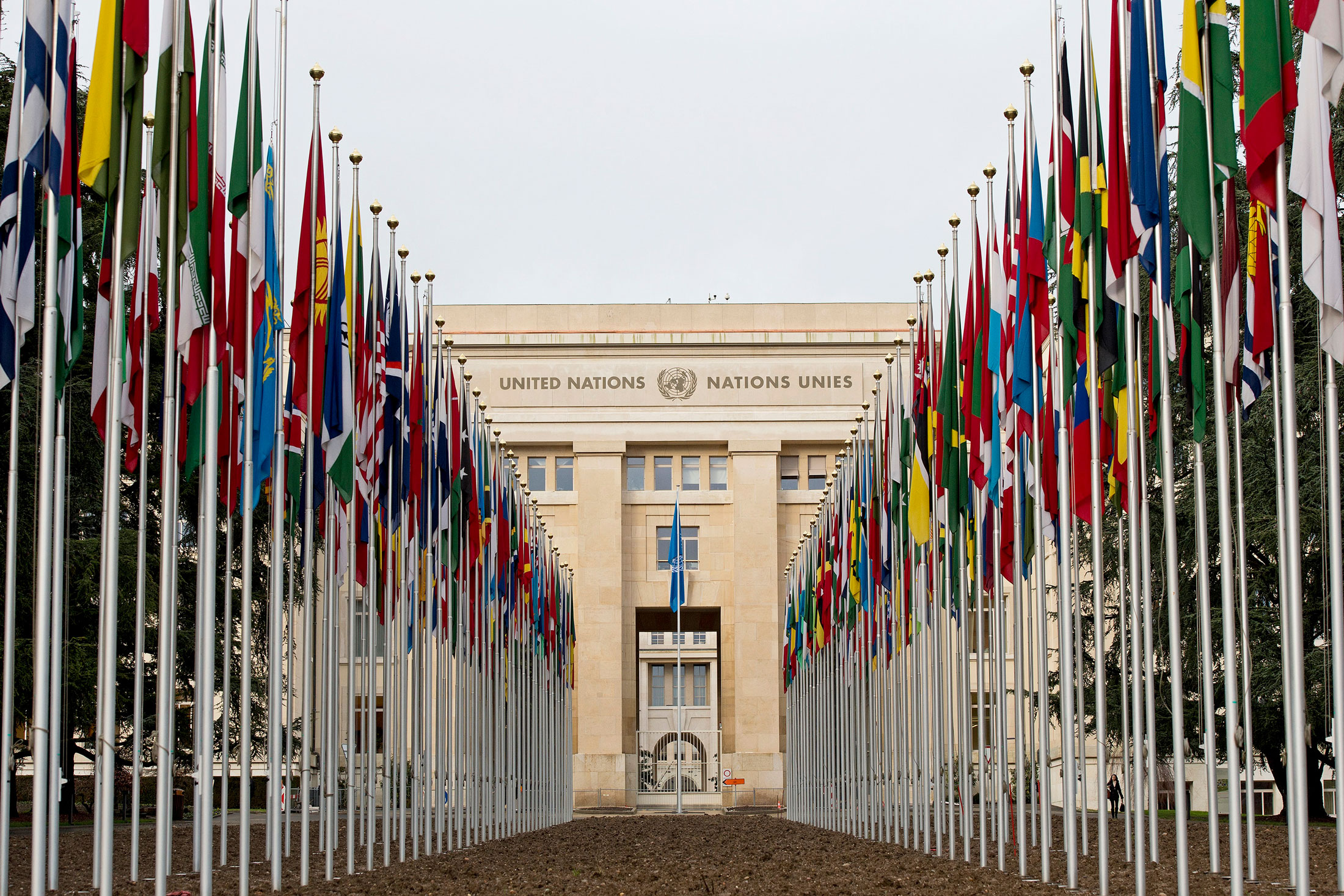 Facilitate UN agencies coordination in countries UN‑Nutrition: the Facilitate UN agencies coordination in countries UN‑Nutrition: the