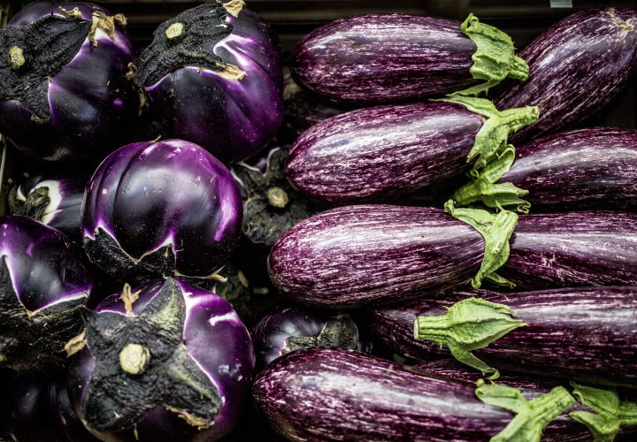 FAO_Alessandra Benedetti.jpeg