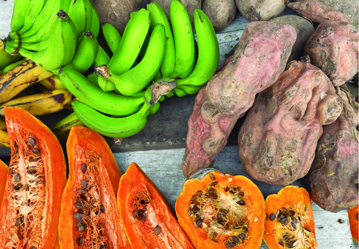 2021-Issue 2-WFP_Lorena Peña