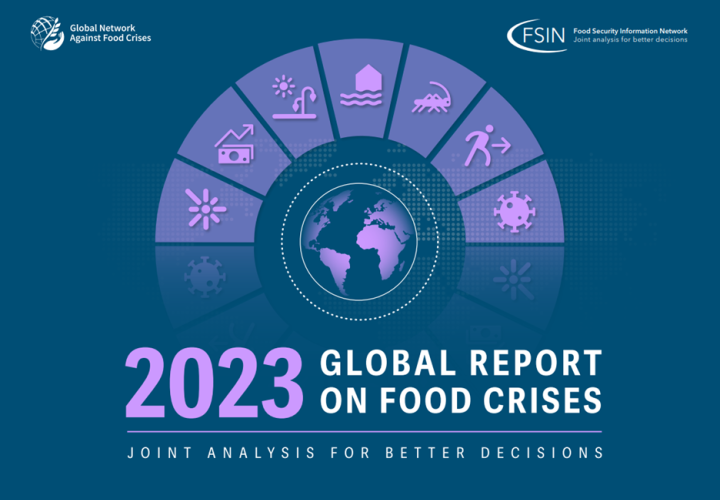 Promotional image of 2023 Global Report on Food Crises
