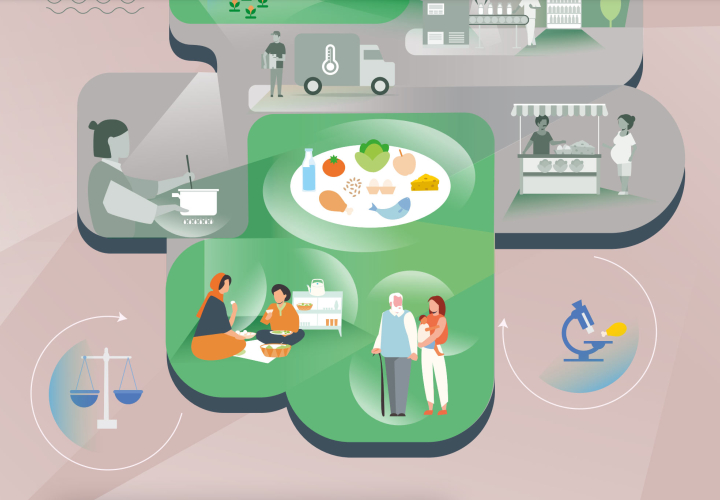 Cover page of FAO report on Contribution of terrestrial animal source food to healthy diets