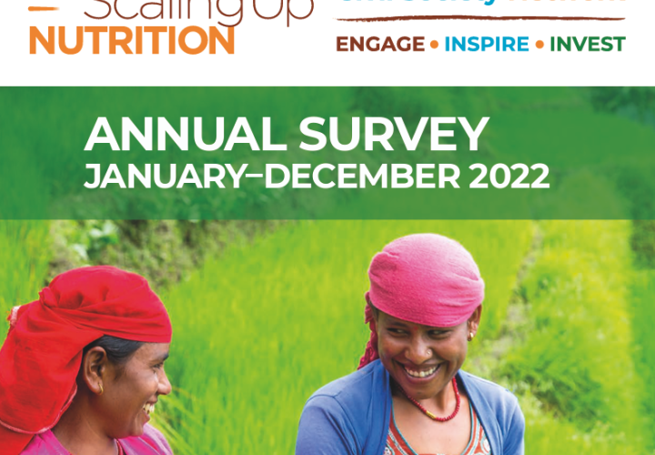 SUN Civil Society Network 2022 Annual Report 