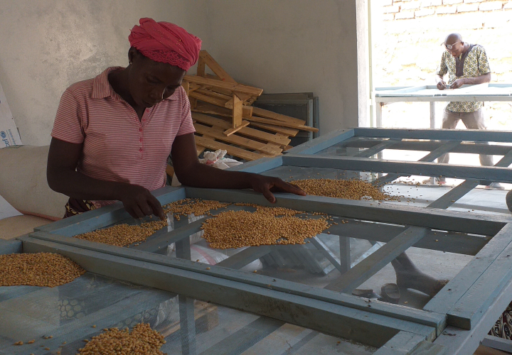 © WFP/Djimta Monelmbaye