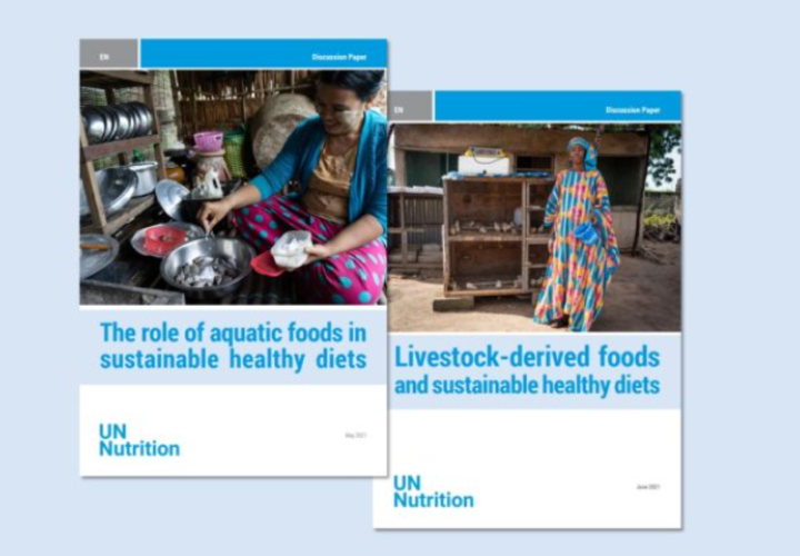Covers UN-Nutrition papers