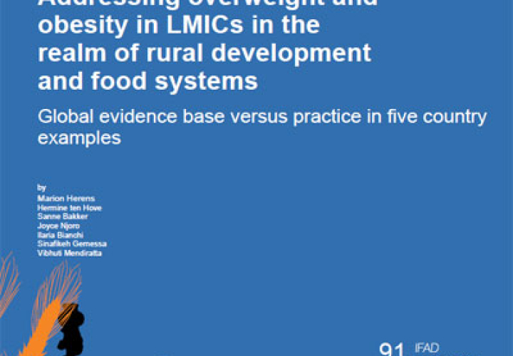 IFAD Research series - Issue 91
