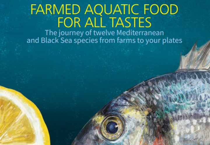 Cover-FAO-Aquatic foods-12 countries