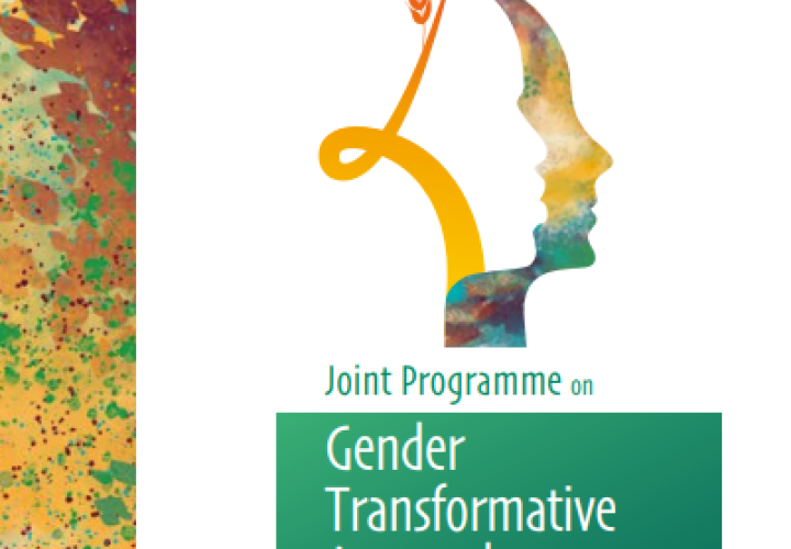 RBAs-Joint Programme-Gender Transformative Approaches