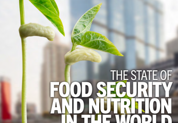 SOFI 2023 cover - cropped