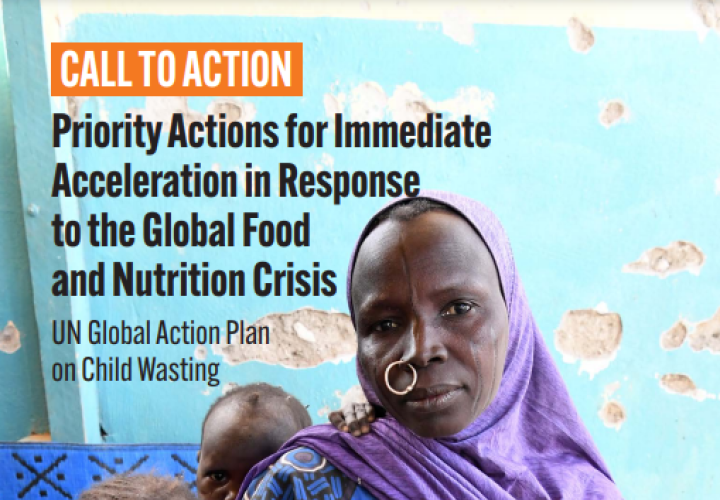 Cover-Call to Action_Global Food & Nutrition Crisis (Jan2023)