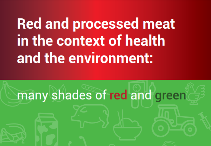 WHO Red & processed meat info brief cover (2023)