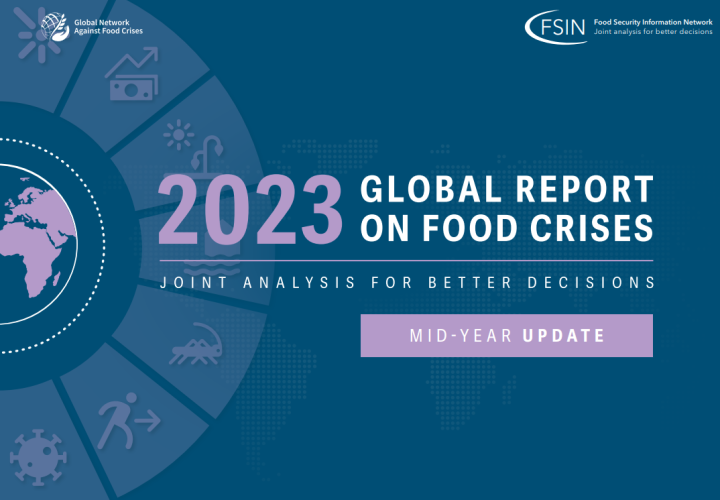 Global Report-Food Crises-2023 update cover