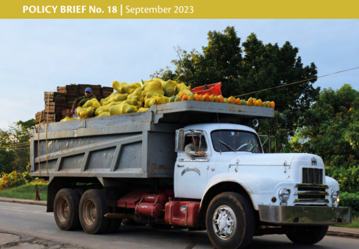 GloPan policy brief no. 18 - cover