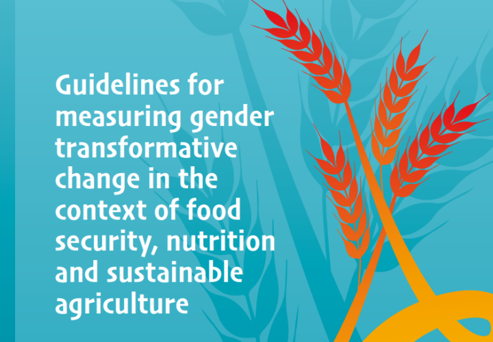 JP GTA guidelines - cover