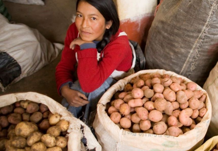IFAD Cost of Malnutrition podcast photo