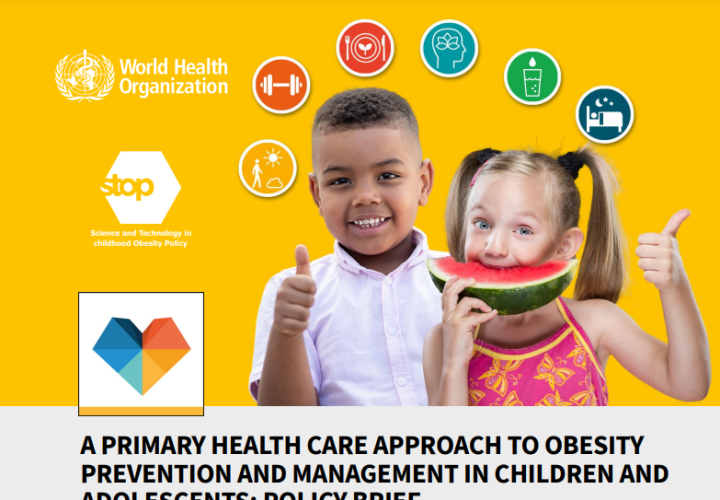 Primary Health Care Obesity Prevention/Mgt Children & Adolescents policy brief-cover