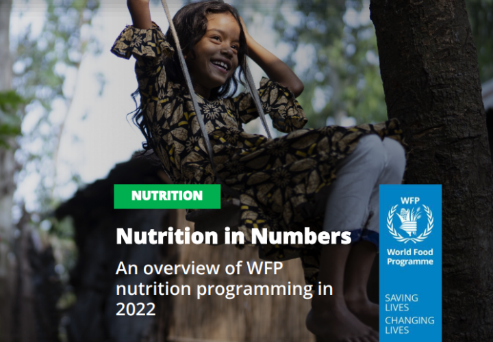 WFP Nutrition in Numbers (2022)-cover