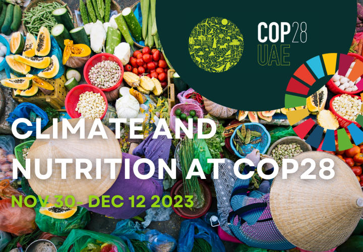 COP28 UNNutrition