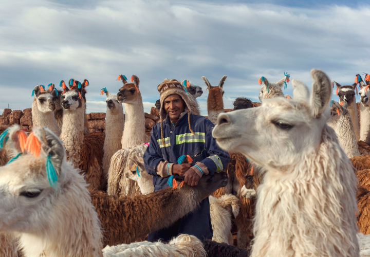 2024-Int'l Year of Camelids