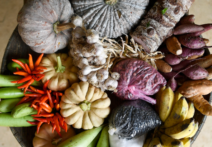 FAO-Food&Diet portal-image (2024)