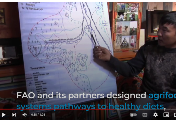 FAO video-FS-Healthy Diets-Forestry image (Mar2024)