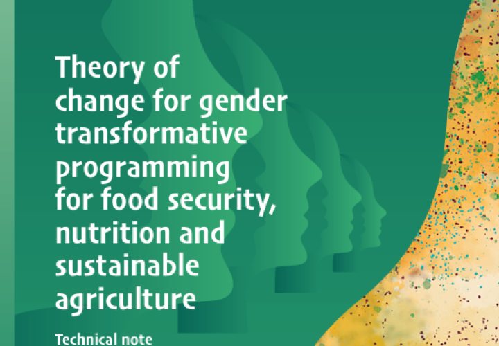 RBA-JP Gender 4 FS Nutr Ag-ToC_cover (Oct2024)