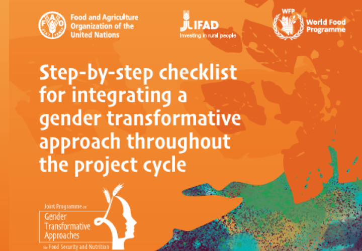 Gender checklist-RBAs (Nov2024)
