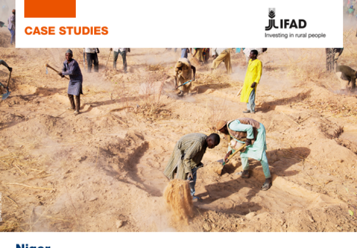 IFAD_PRECIS Case Study-Niger-cover (Oct2024)