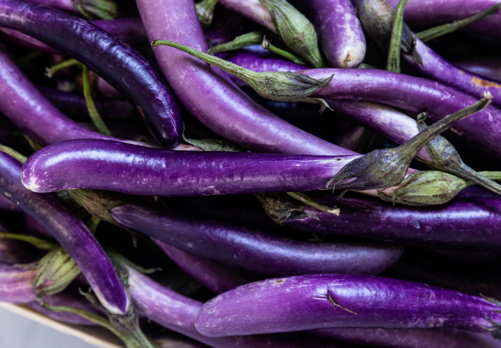 Eggplant photo