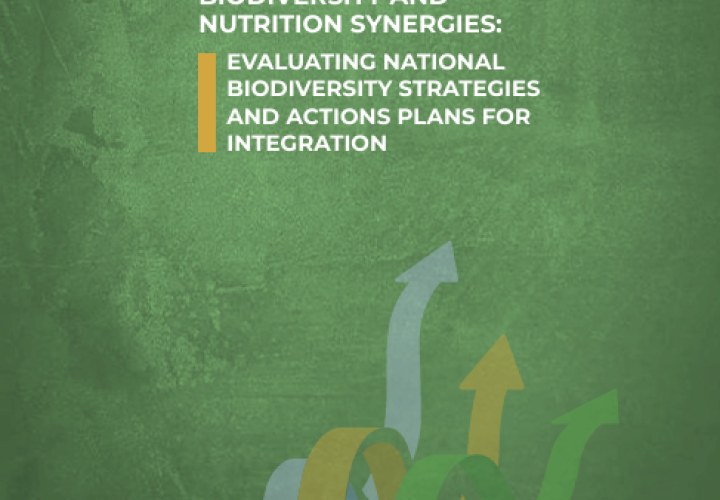 GAIN-Biodiversity-Nutrition Synergies-cover (2024)