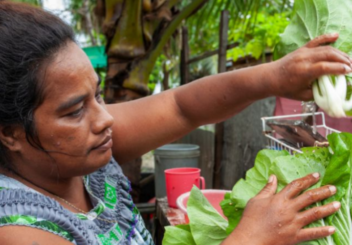 IFAD-Nutrition Investment Pacific-cover (Oct2024)