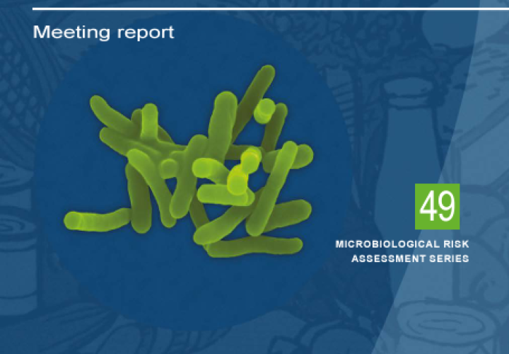 Codex-Microbiological risk in foods-Mtg Report cover (28Nov2024)