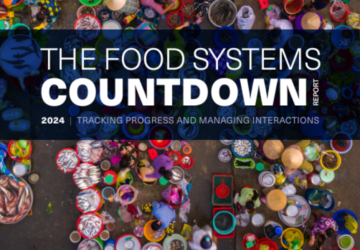 Food Systems Countdown Report-cover (Jan2025)