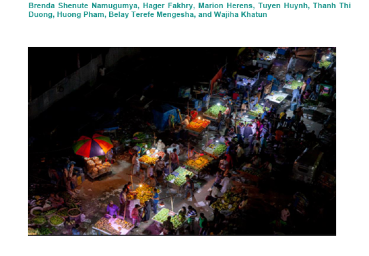 Food Systems towards SHDs Bang ETH VN-cover (Sep2024)
