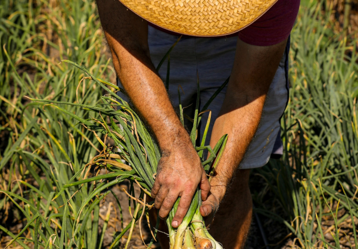 FoodTank-2025 List-photo