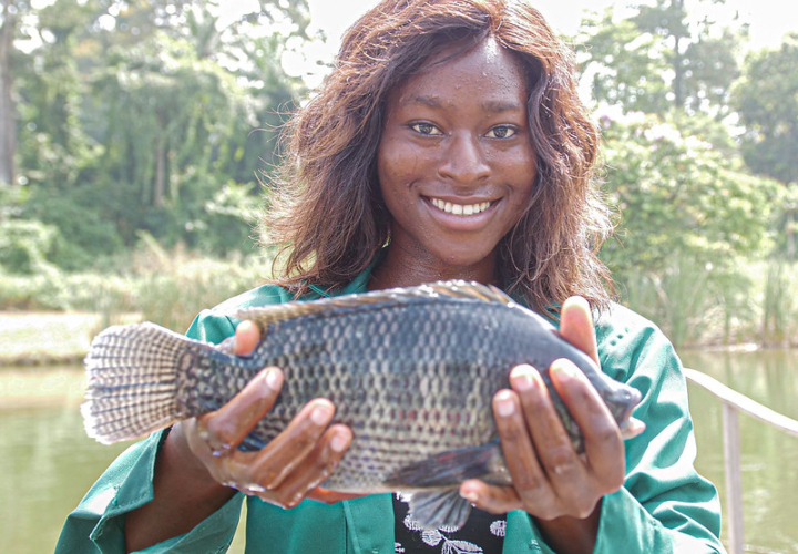 Nigeria_Adesanya Omotomiwa-IITA & Olaniyi Ajibola-WorldFish