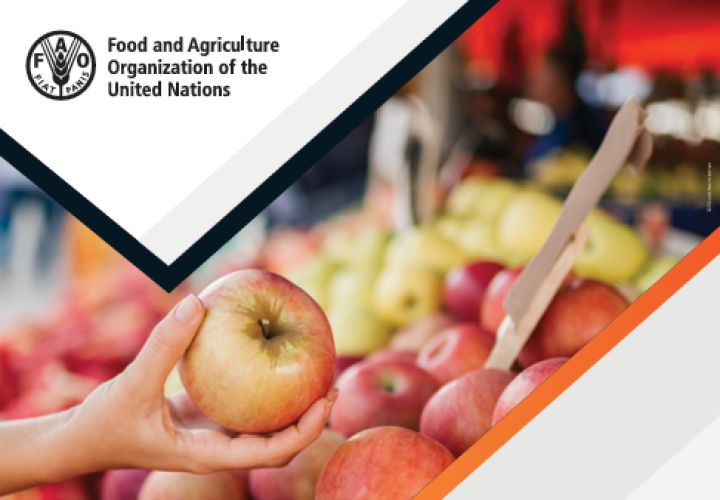 FAO-Evolution trade & Nutrition-cover (Feb2025)