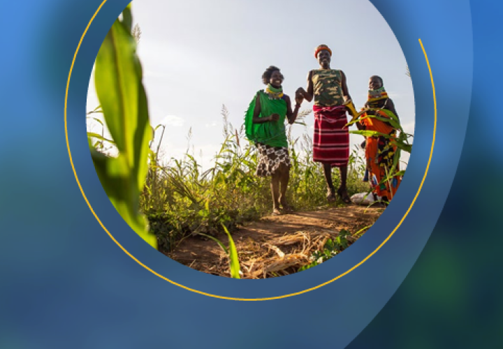Inclusion in FAO programmes-cover (Feb2025)