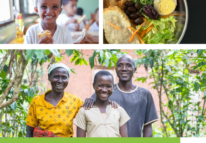 2024 Global School Meals Survey-image (Feb2024)