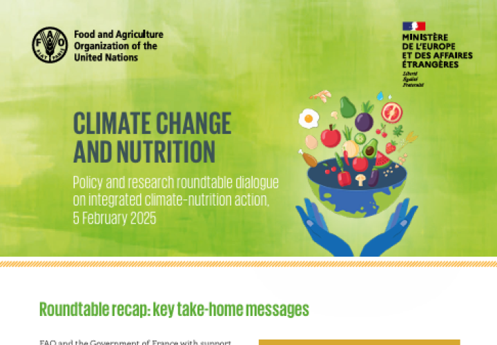 FAO Climate-Nutrition Roundtable brief-cover (Mar2025)