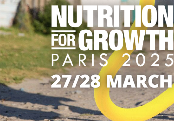 N4G Paris Declaration image (11Apr2025)