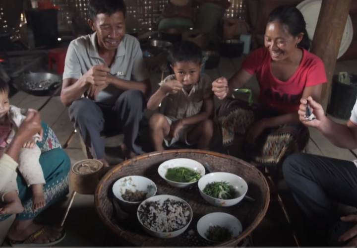 IFAD nourishing video image (May2025).