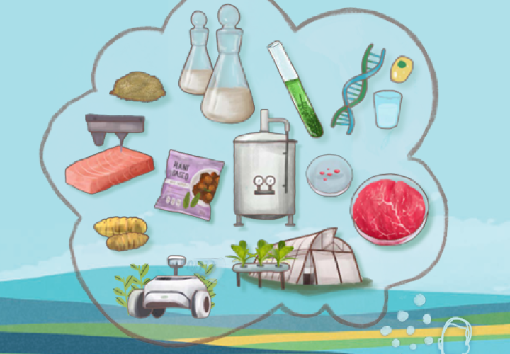 FAO_New Food Sources-cover (May2025)