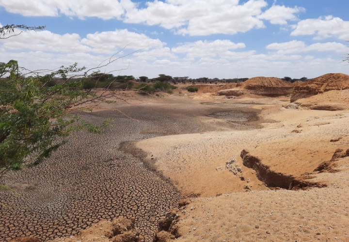 FAO-Kenya-Lorenzo Moncada