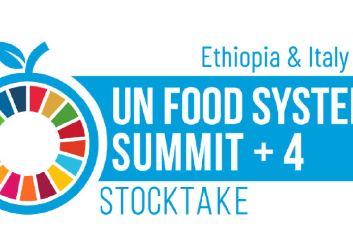 Banner for the UN Food Systems Summit +4