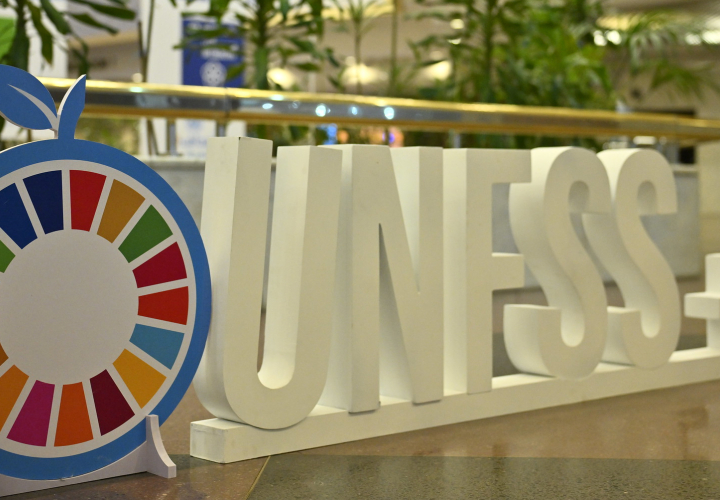 Banner for the UN Food Systems Summit +4