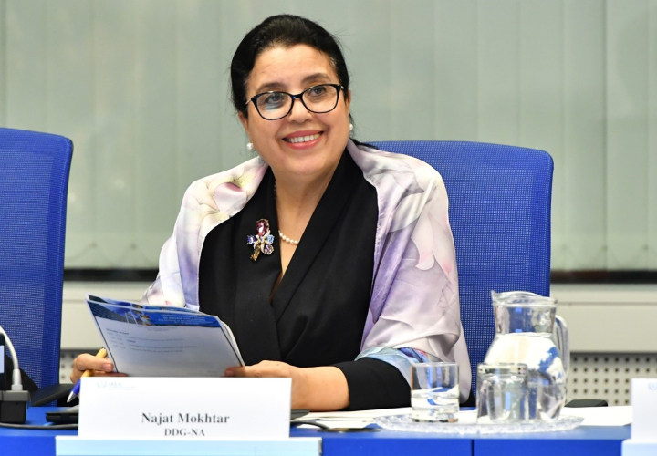 Mokhtar at the opening of the 21st Meeting of the Standing Advisory Group on Nuclear Applications held at the Agency headquarters in Vienna, Austria. (Photo: D. Calma/IAEA).