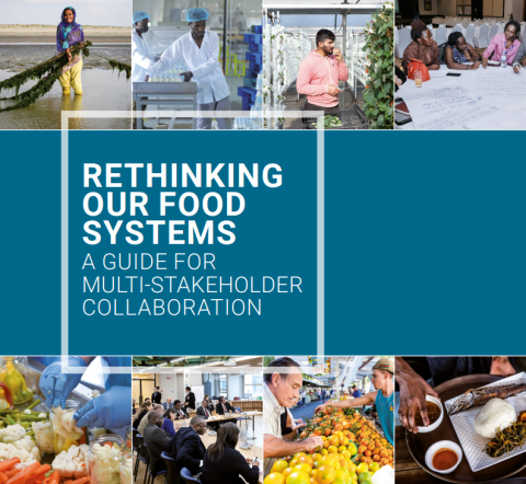 Rethinking our food systems-A guide for multi-stakeholder collaboration-cover