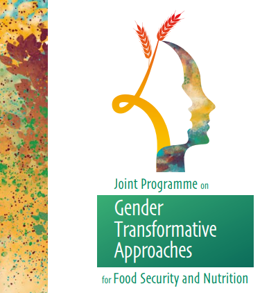 RBAs-Joint Programme-Gender Transformative Approaches