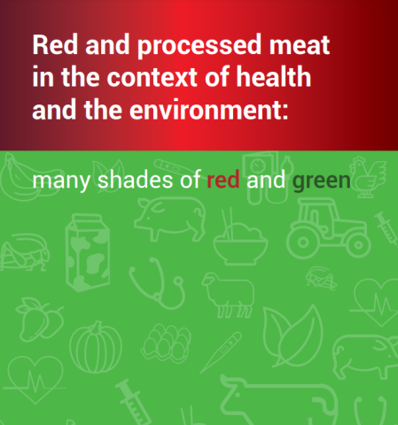WHO Red & processed meat info brief cover (2023)