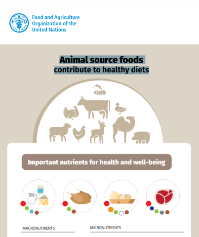 FAO- ASFs & healthy diets infographic cover (2023)